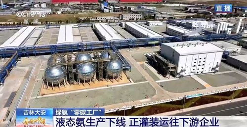 零碳工厂 新能源“就地生金”，全链条绿色消纳体系引领未来